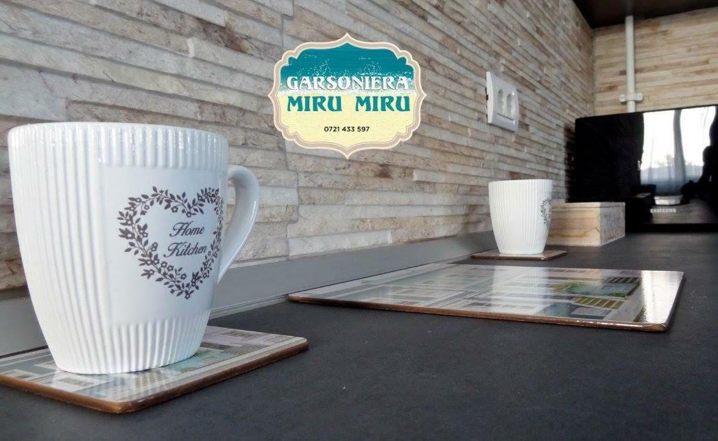 Garsoniera Miru Miru Apartment Navodari Luaran gambar